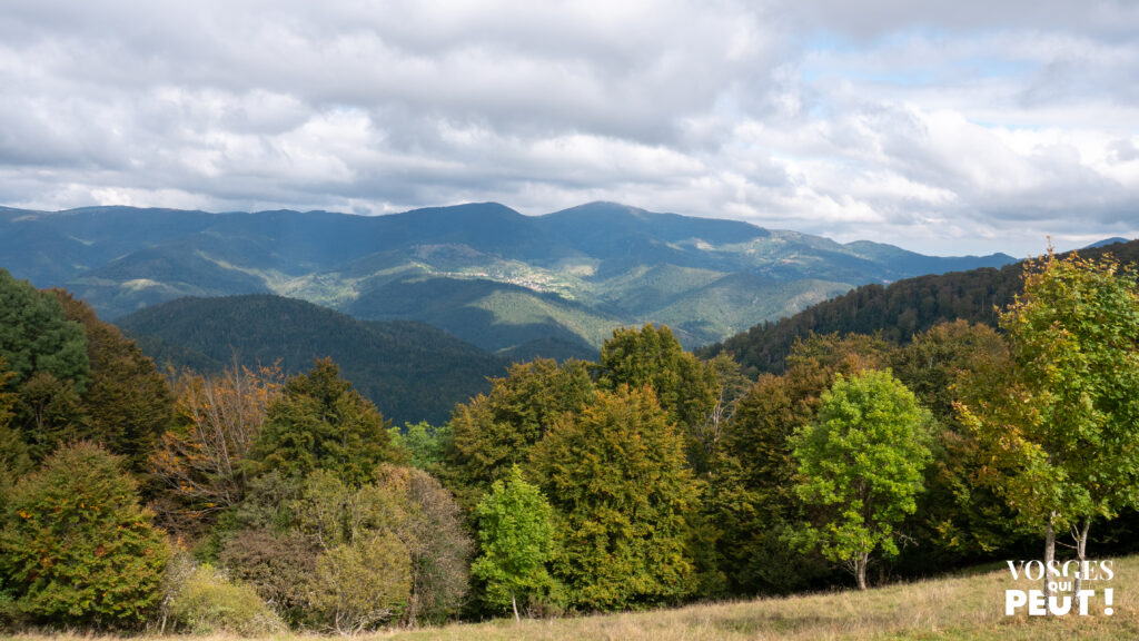 Vue sur la chaîne des Vosges depuis le Thanner Hubel