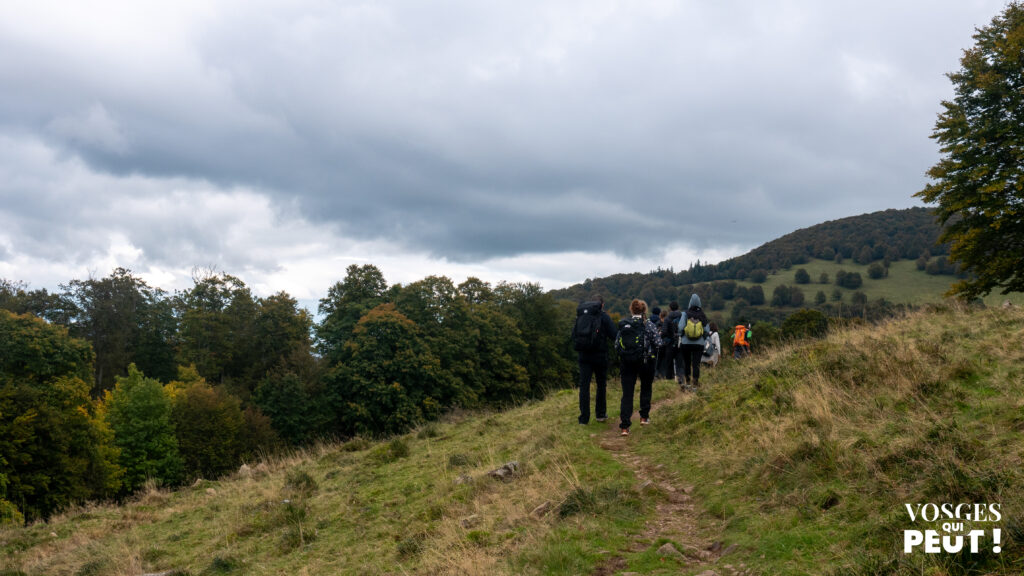 Randonneurs dans le Massif des Vosges