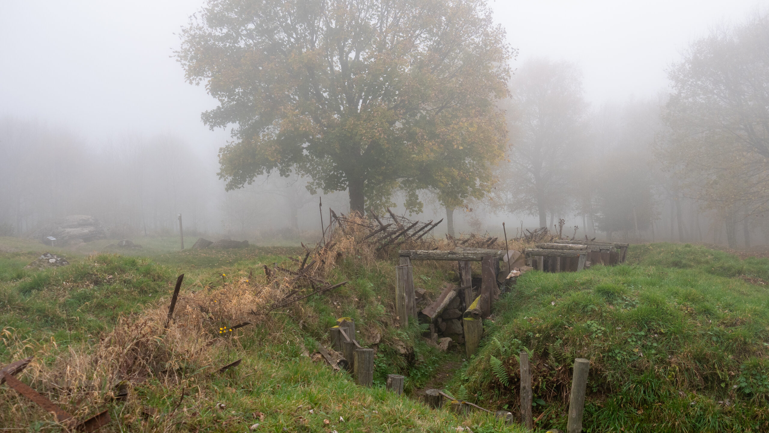 Histoire et rando dans les Vosges : sur le Hartmannswillerkopf