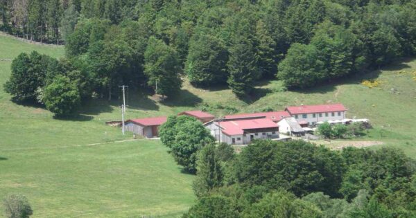 Ferme-auberge du Baerenbach