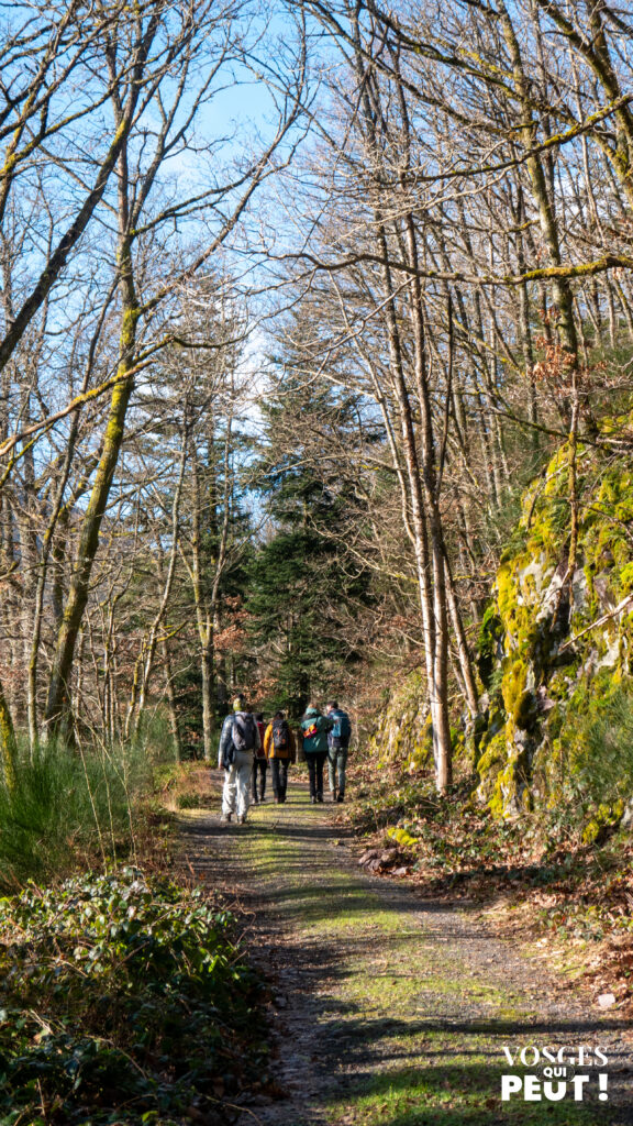 Randonneurs dans le Massif des Vosges