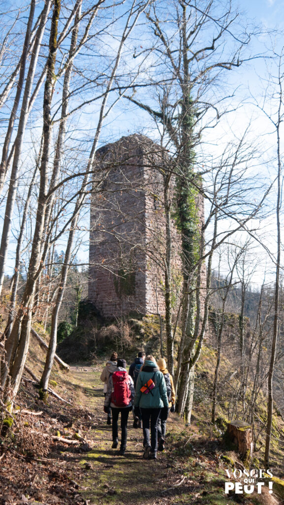 Randonneurs arrivant au château du Nideck 