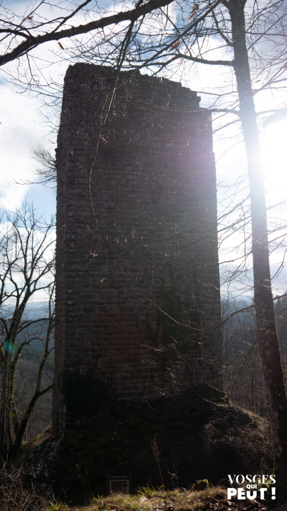 Le château du Nideck dans le Massif des Vosges