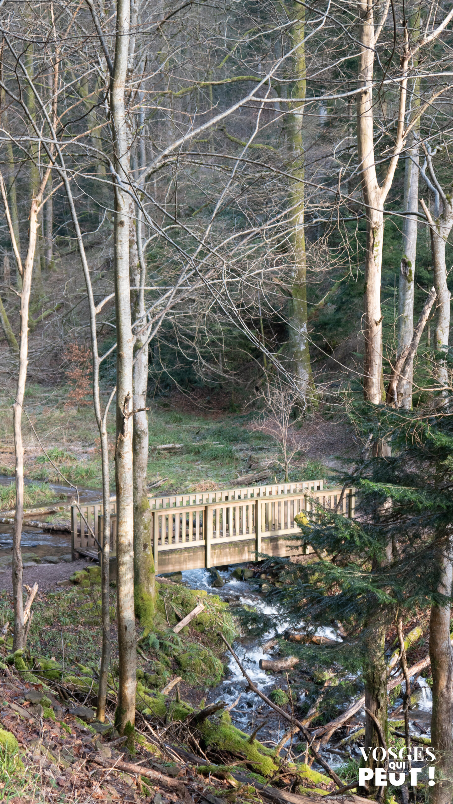 Pont qui traverse la Hasel dans le Massif des Vosges