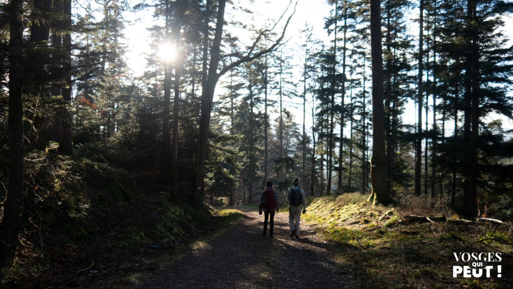 Randonneurs dans le Massif des Vosges