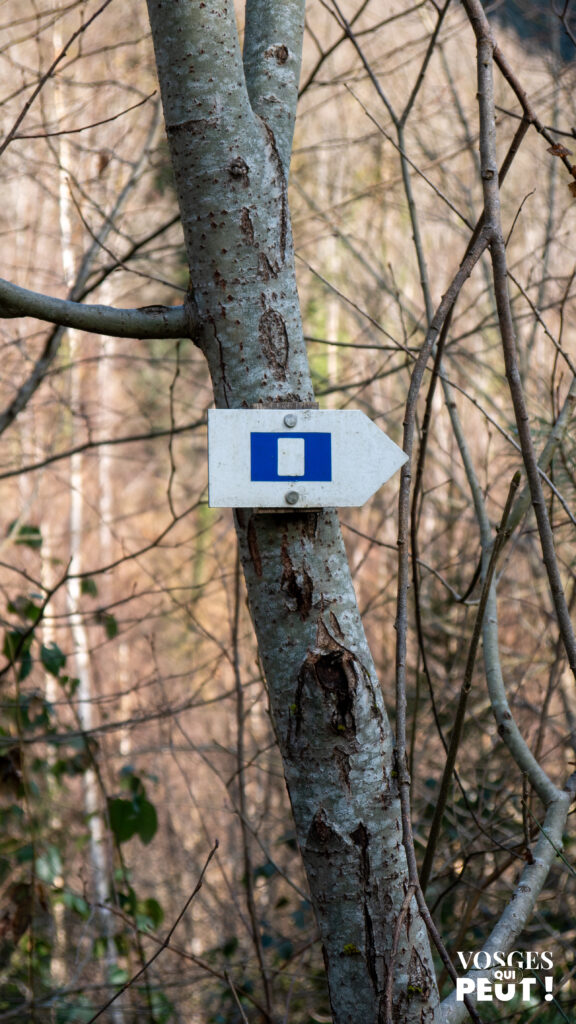 Panneau de balisage dans le massif des Vosges