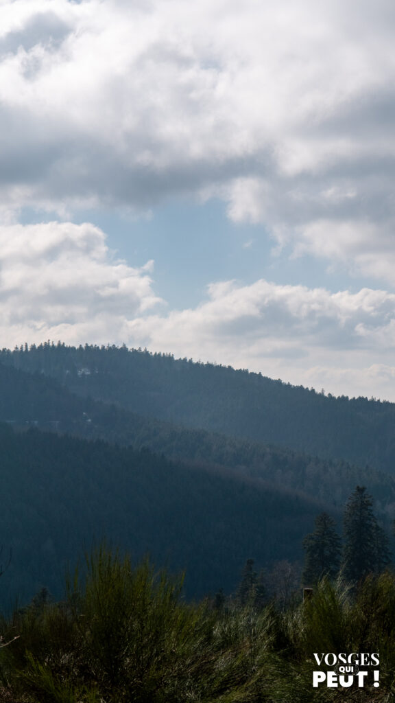 Vue sur les Vosges centrales autour d'Urbeis