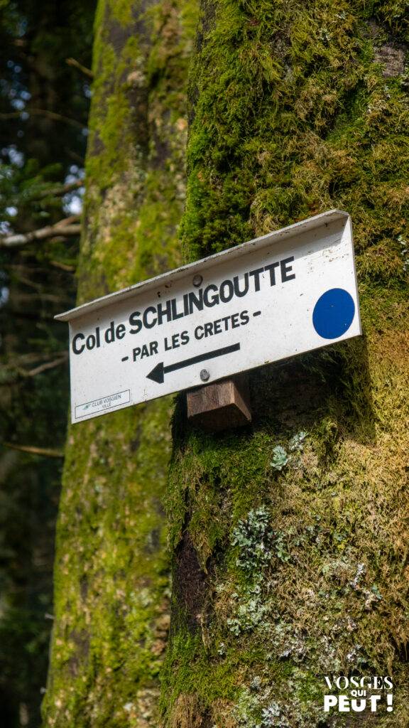 Panneau de balisage dans le massif des Vosges