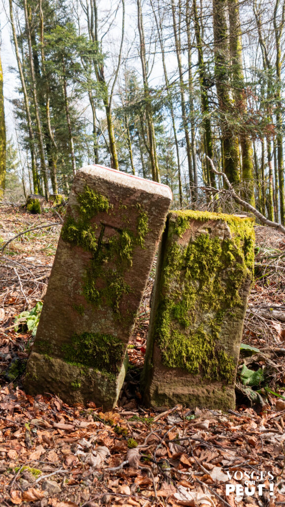 Bornes frontières dans le massif des Vosges