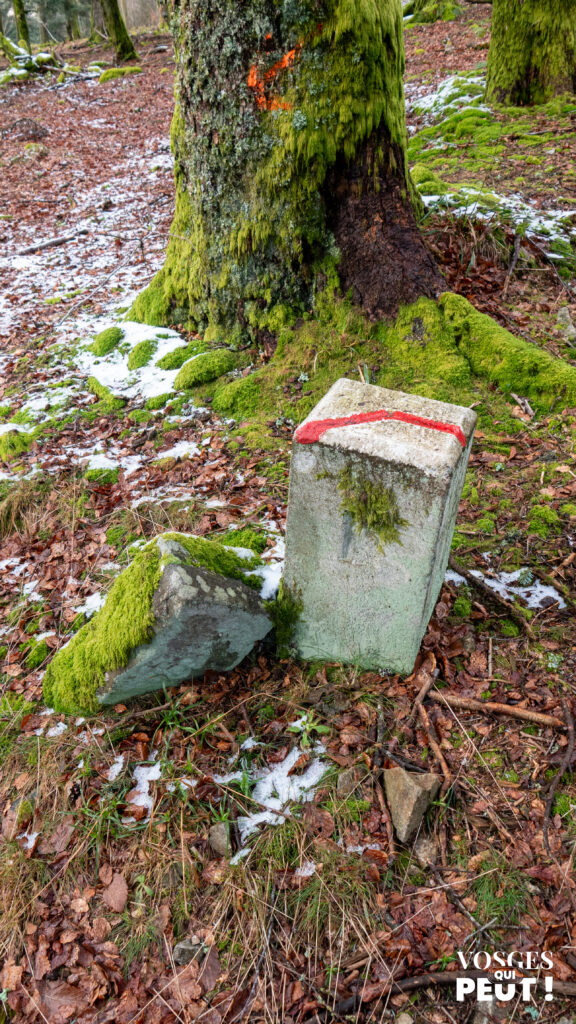 Bornes frontières dans le massif des Vosges