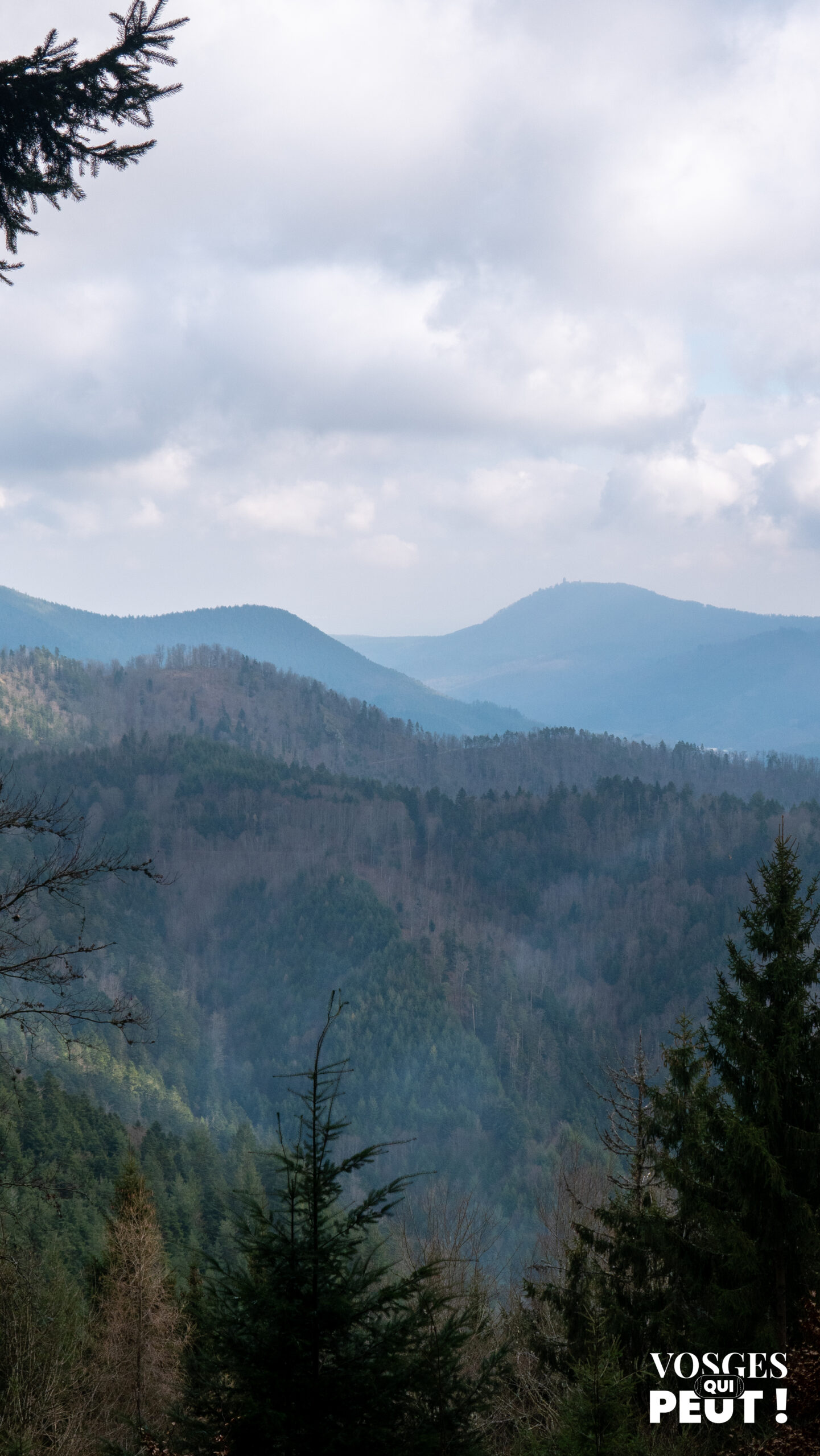 Vue sur le Haut-Kœnigsbourg dans le massif des Vosges