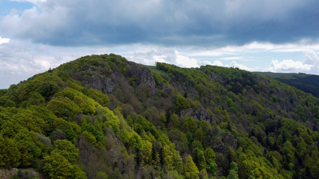 La forêt des Volcans de Wegscheid dans le massif des Vosges