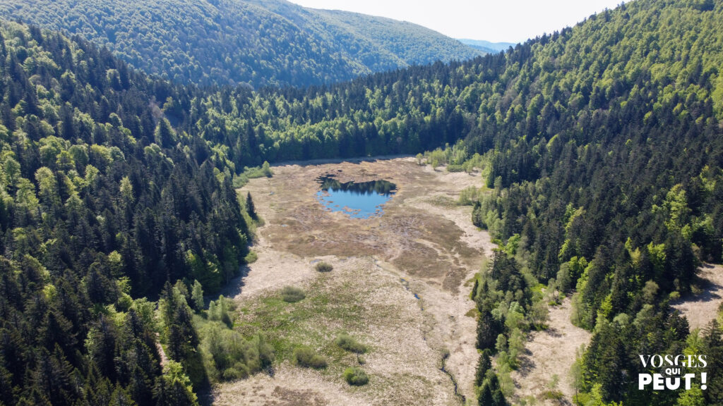 Vue aérienne sur la Tourbière de Machais