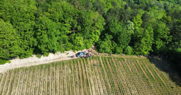 Balade découverte des vins et paysages des Côtes de Meuse – dimanche 18 mai 2025