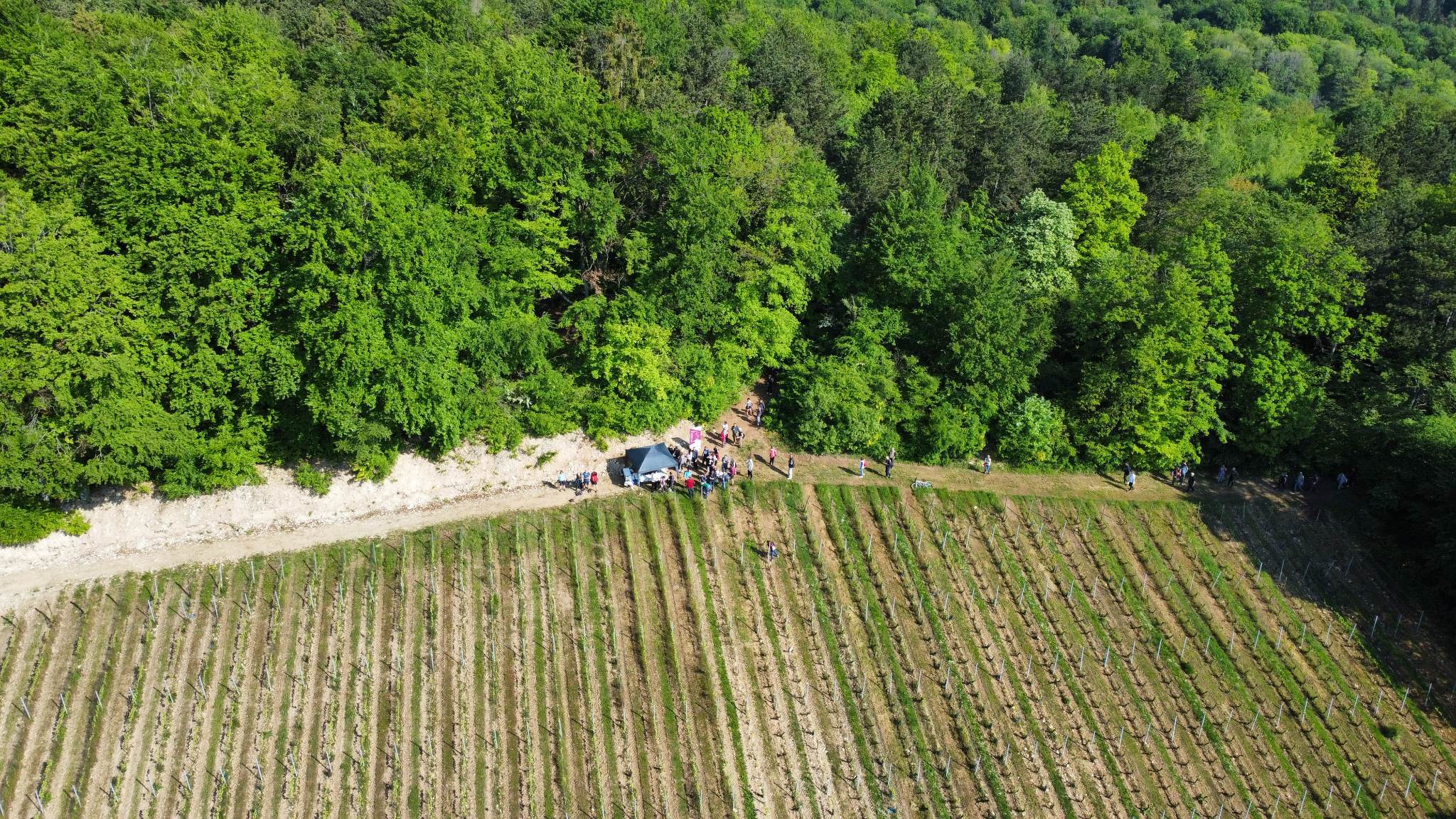 Balade découverte des vins et paysages des Côtes de Meuse – dimanche 18 mai 2025