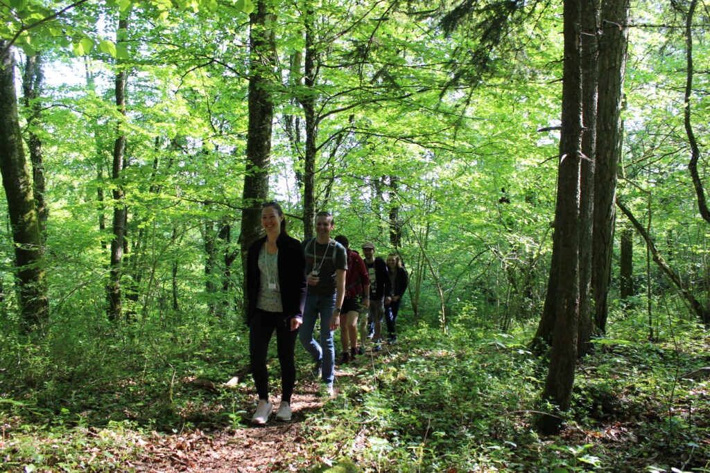 Randonneurs en forêt pendant la randonnée gourmande des Côtes de Meuse