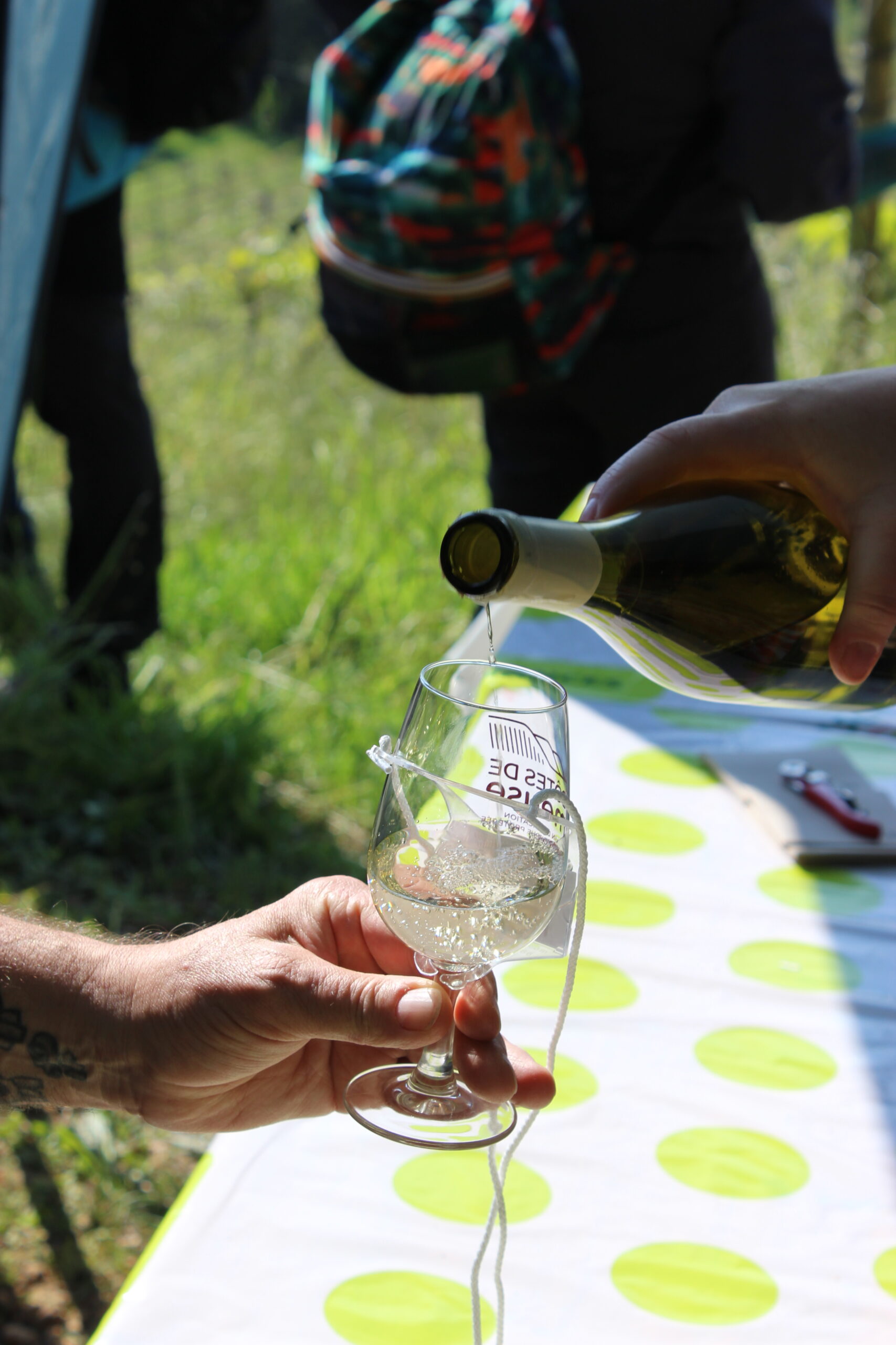 Vin blanc de côtes de Meuse