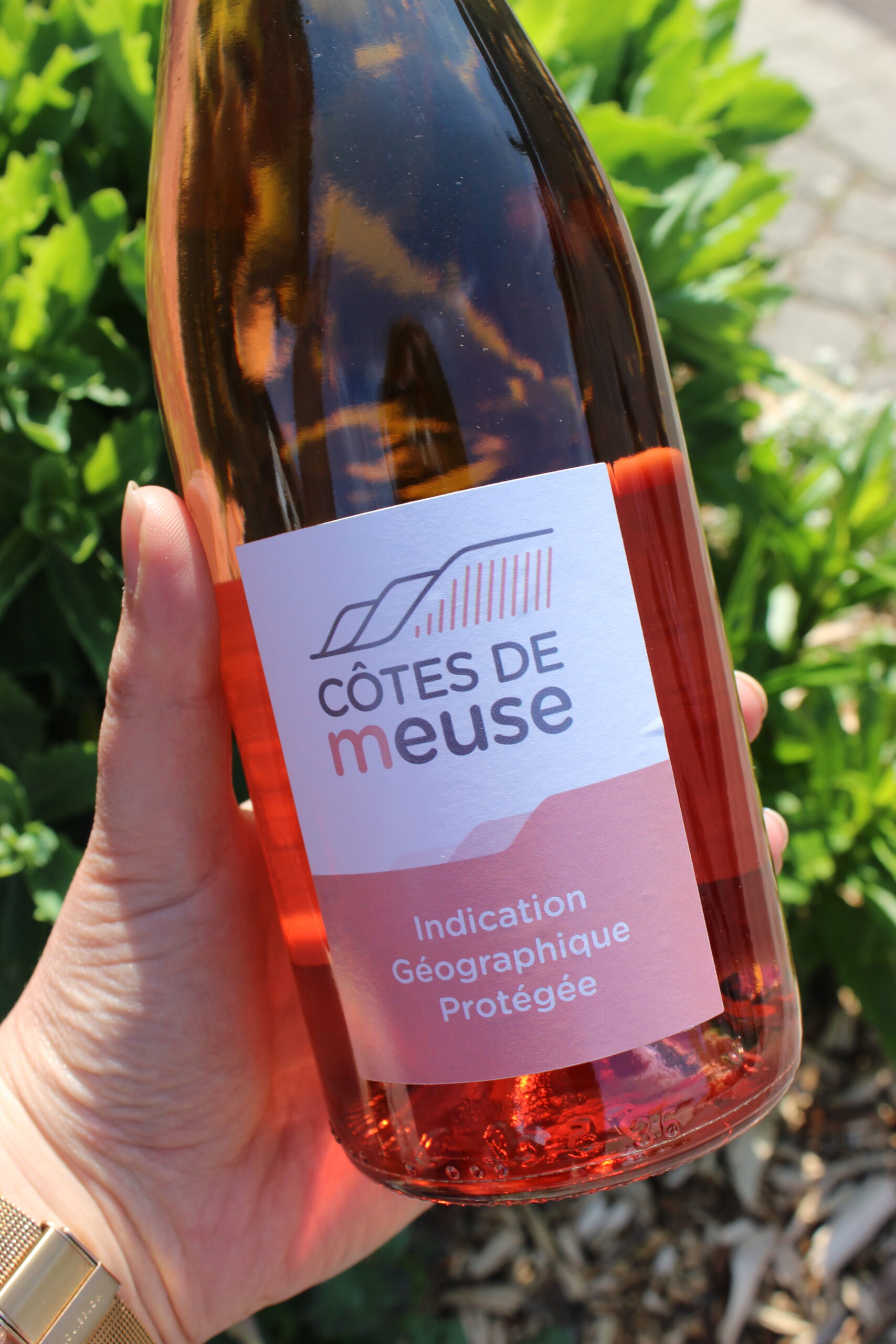 Une bouteille de côtes de Meuse rosé