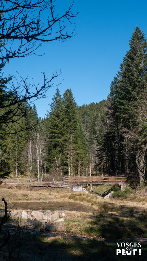 Étang de Belbriette dans le massif des Vosges