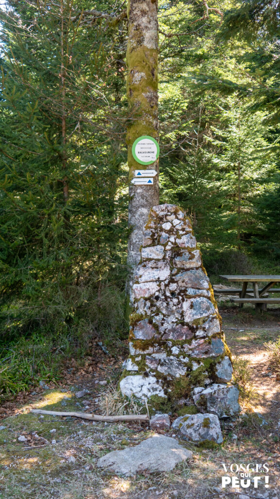 Ancienne fontaine des ducs de Balveurche dans le massif des Vosges