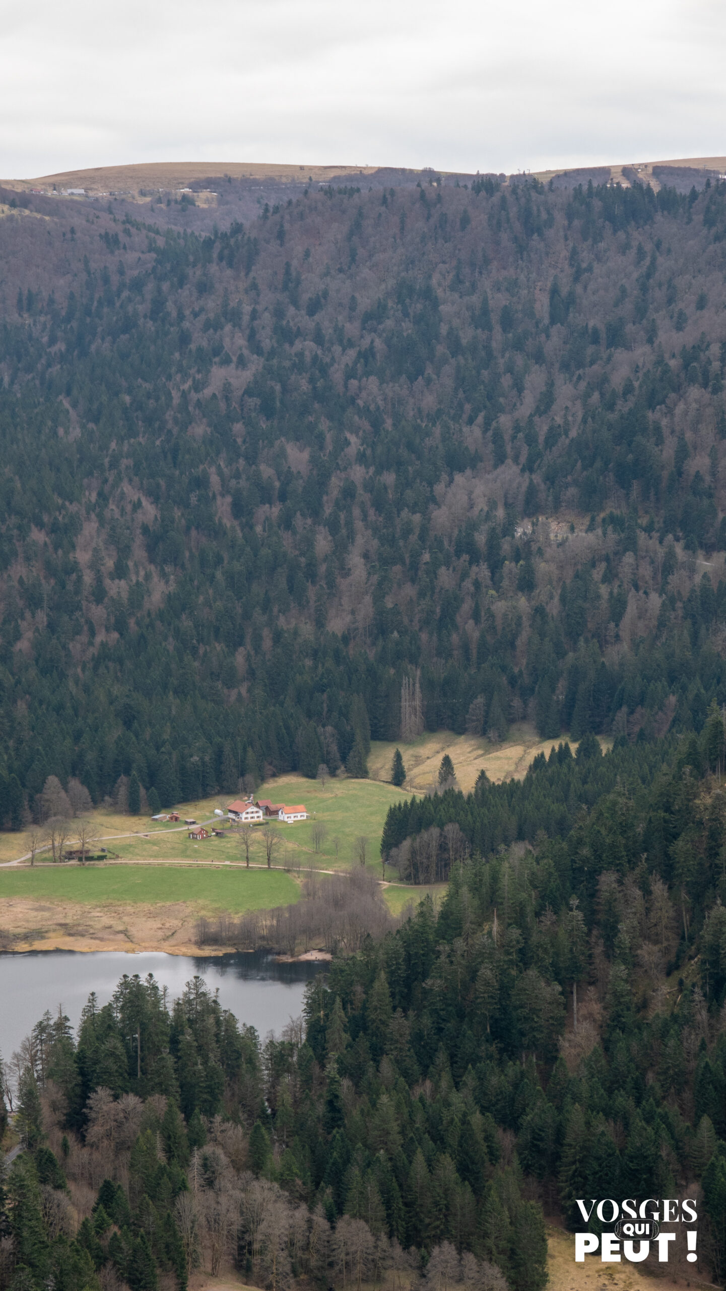 Vue sur lac de Longemer depuis la Roche Boulard