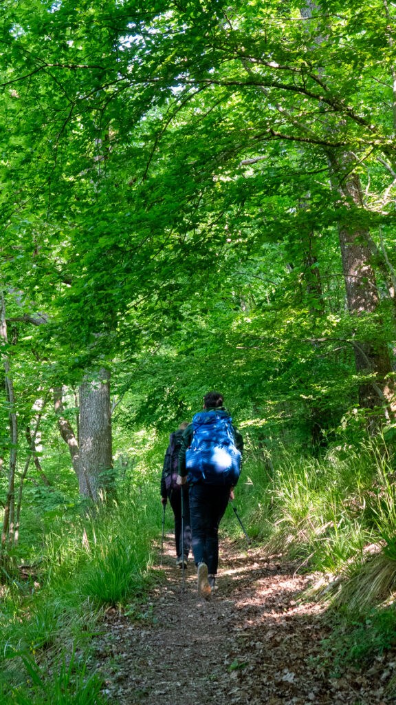 Randonneurs pendant une micro-aventure dans le massif des Vosges
