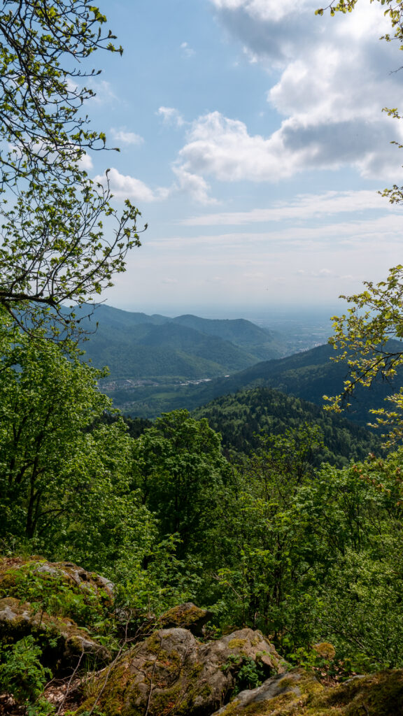 Vue sur la vallée de Thann dans le massif des Vosges