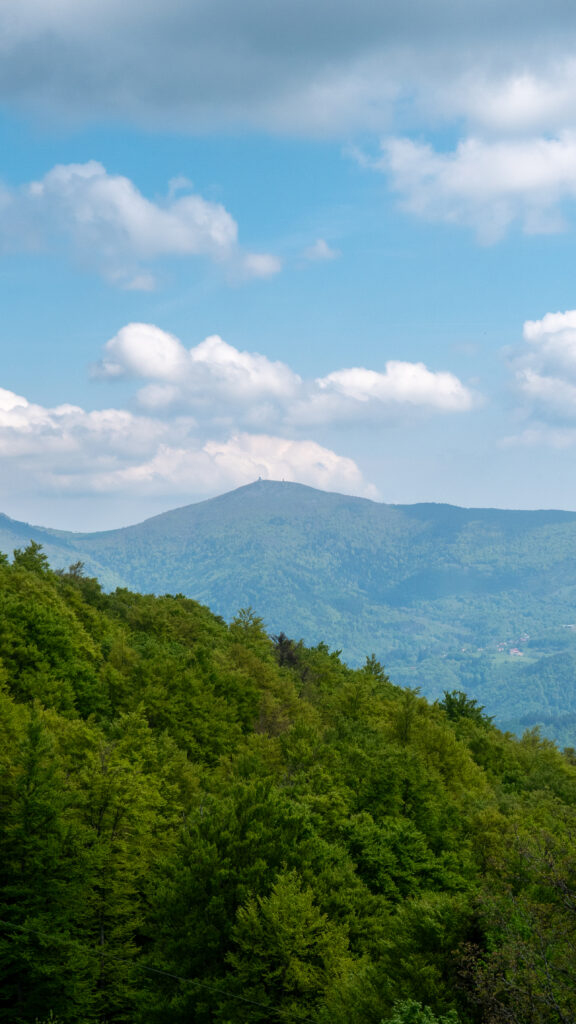 Vue sur le Grand Ballon depuis la chaume du Thanner Hubel dans le massif des Vosges