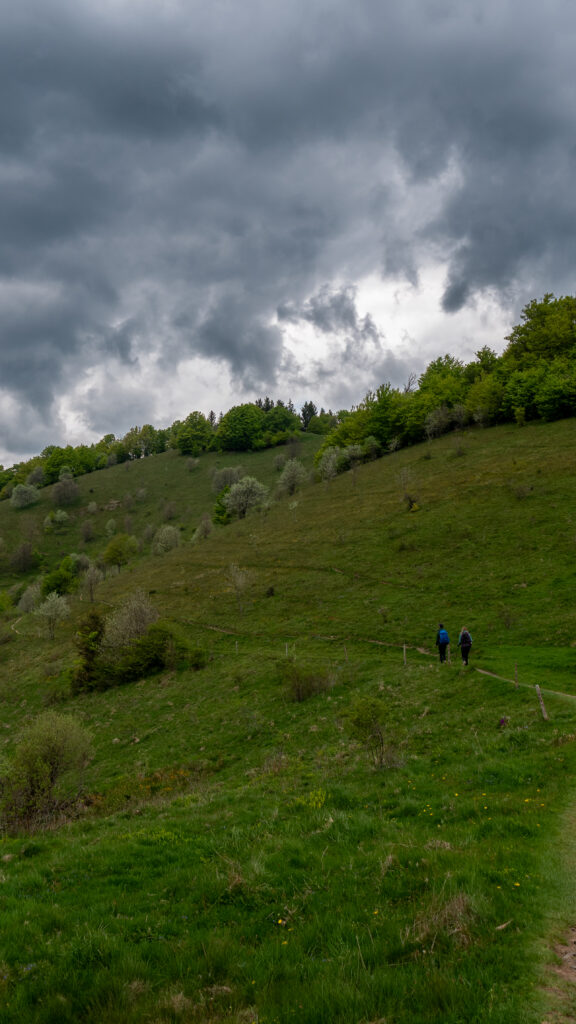 Randonneurs dans une micro-aventure dans le massif des Vosges