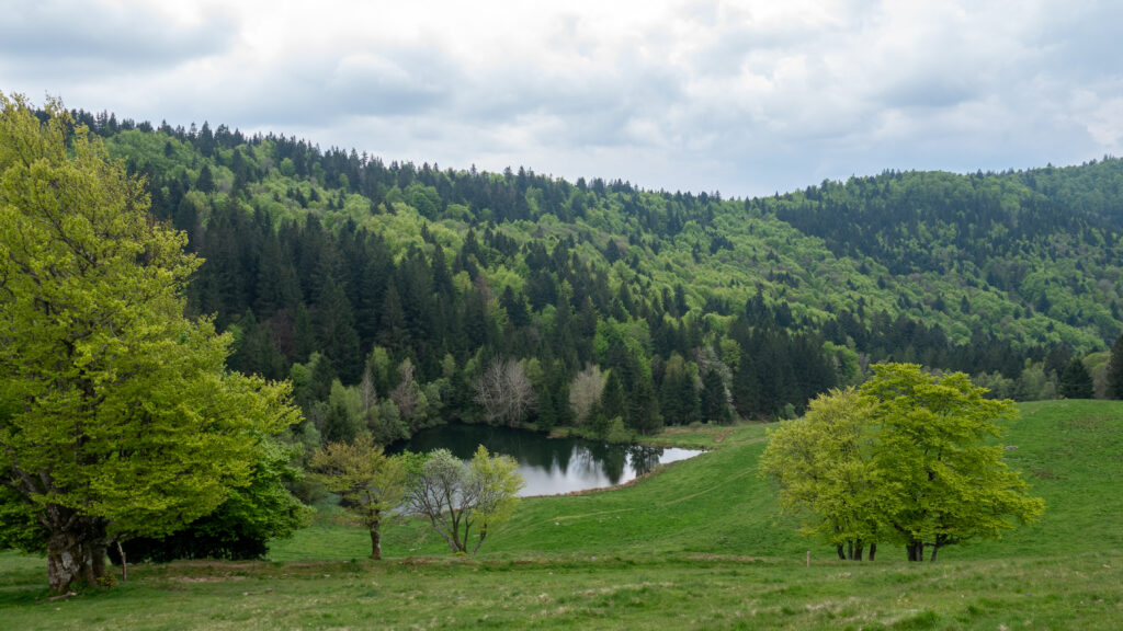 L'étang des Neufs Bois dans le massif des Vosges