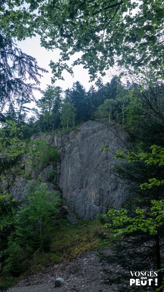 La Roche de l'Ours dans le massif des Vosges