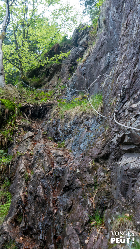 Passage de main courante près de la cascade de la roche de l'ours dans le massif des Vosges