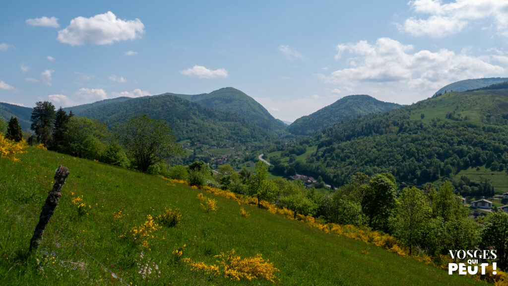 Vue sur la vallée de la Moselle dans le massif des Vosges
