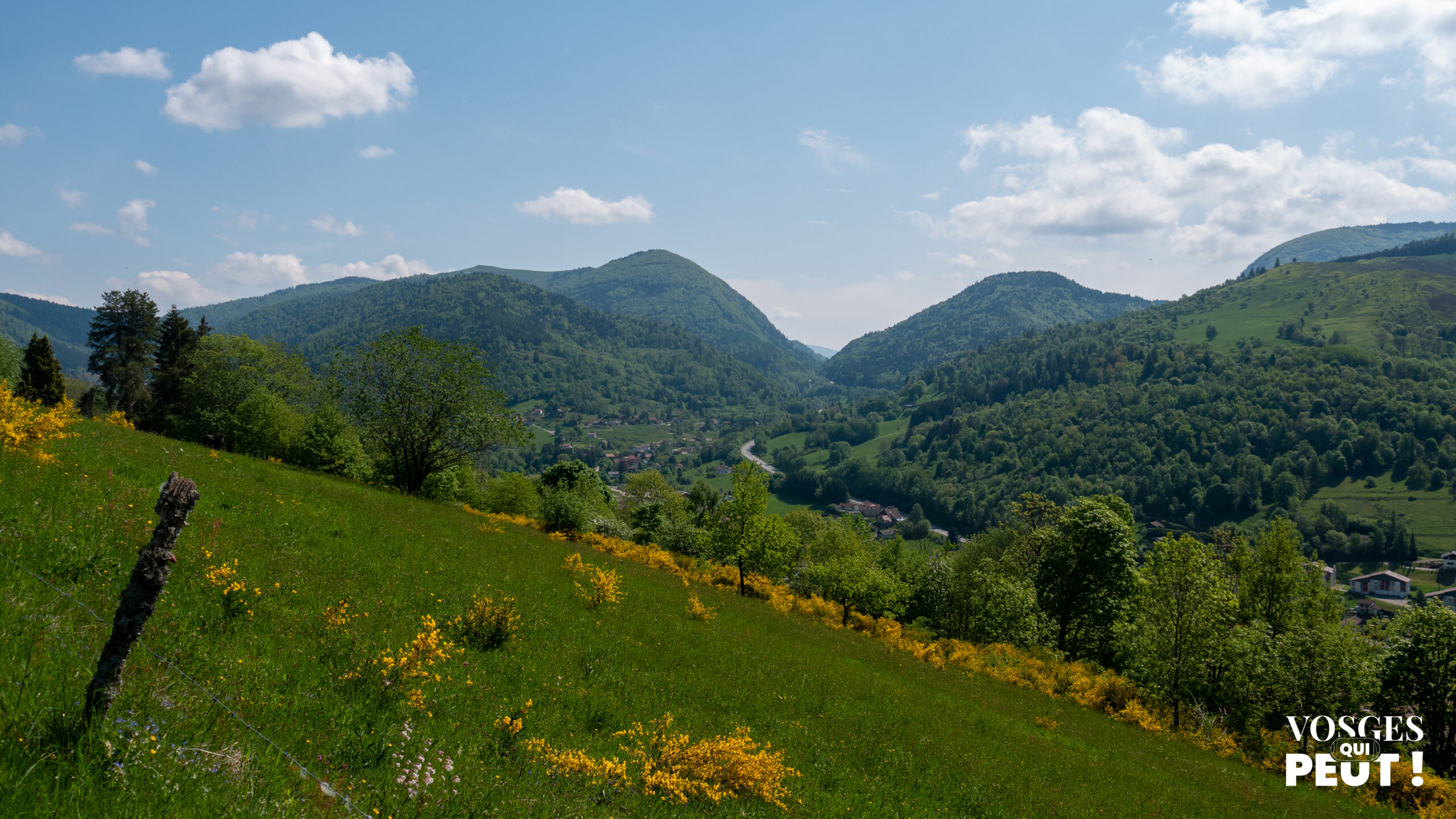 Vue sur la vallée de la Moselle dans le massif des Vosges