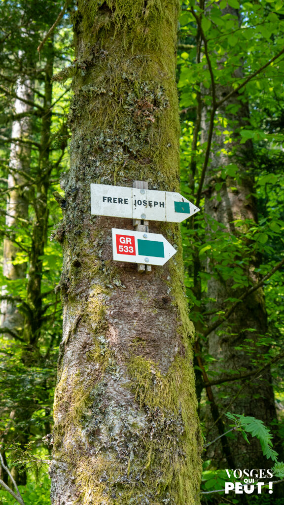 Panneau directionnel pour randonneurs dans le massif des Vosges