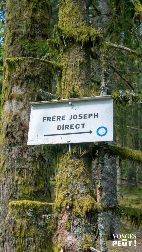 Panneau directionnel pour randonneurs dans le massif des Vosges