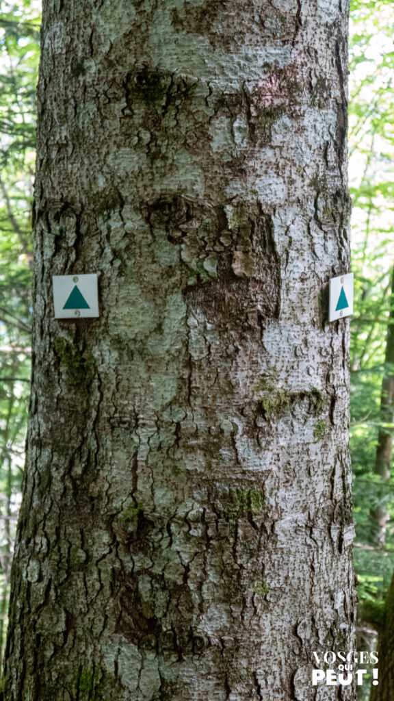Panneau directionnel pour randonneurs dans le massif des Vosges