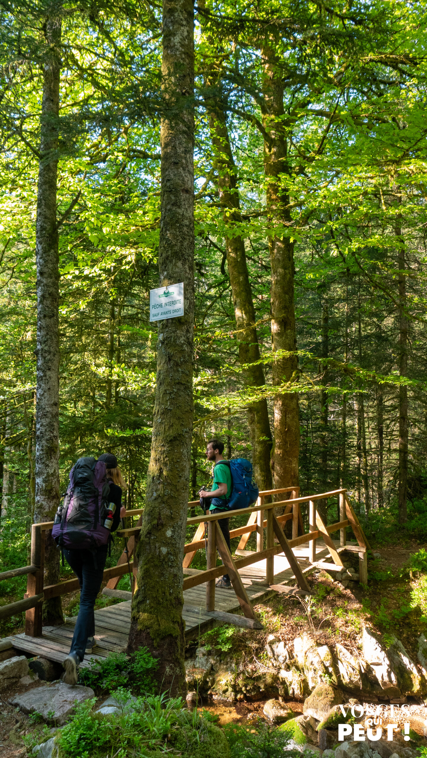 Pont du Rouge Rupt dans le massif des Vosges