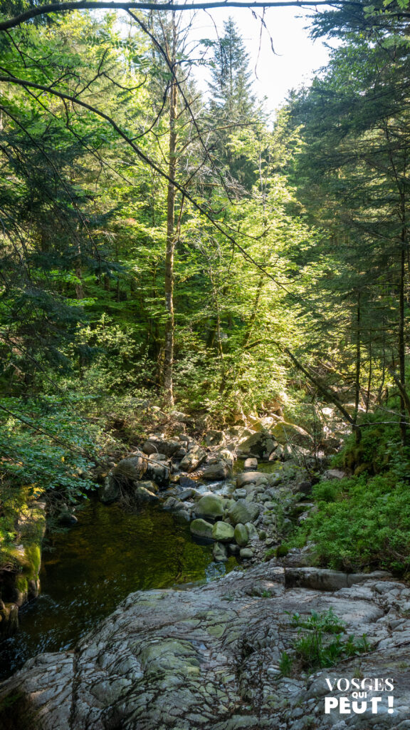 Le bassin du Rouge Rupt dans le massif des Vosges