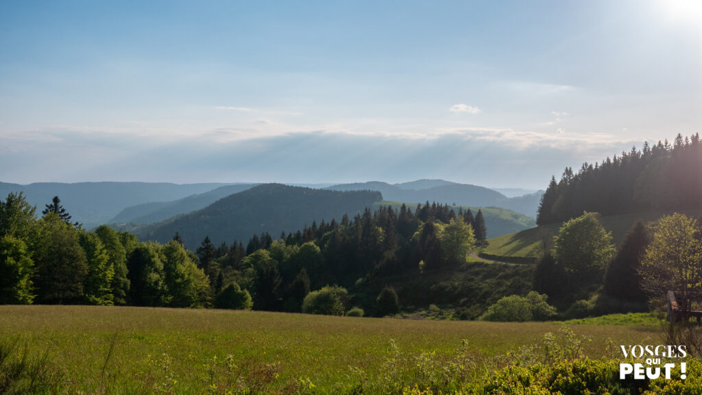 Vue sur l'ouest du massif des Vosges