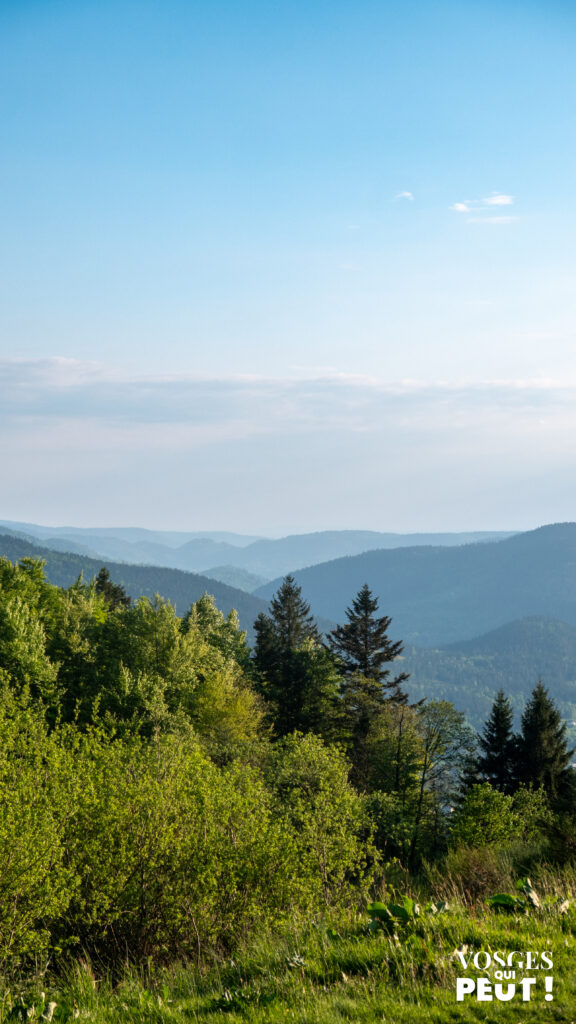 Vue sur l'ouest du massif des Vosges depuis la Rachute