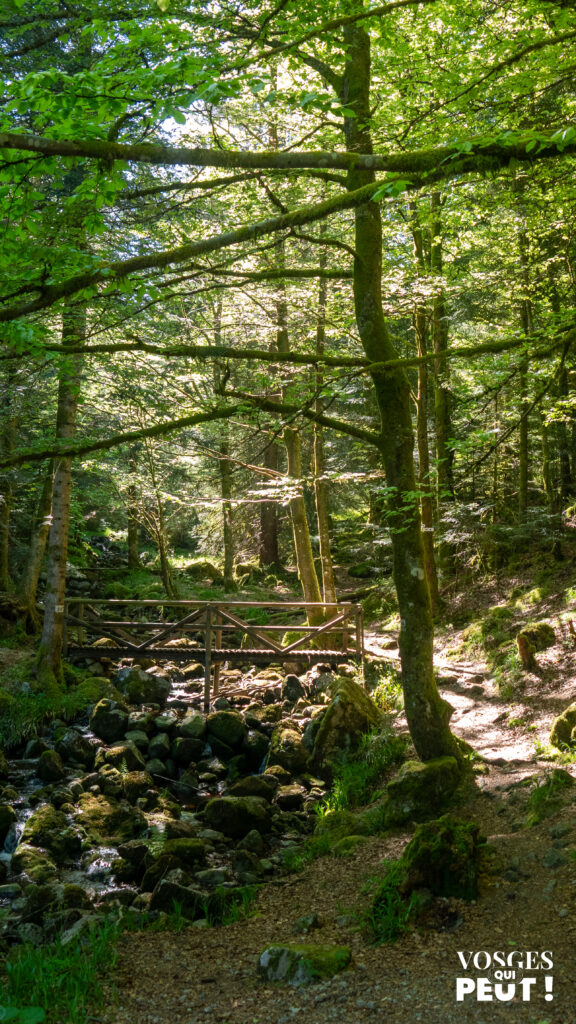 Pont au-dessous de la tourbière de Machais dans le massif des Vosges