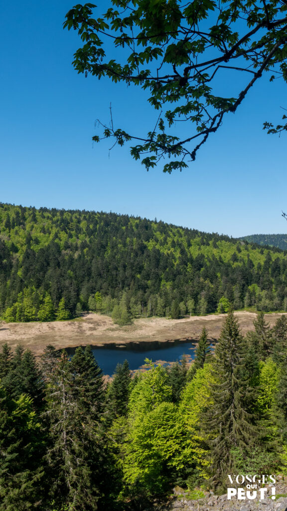 Vue sur la tourbière de Machais dans le massif des Vosges
