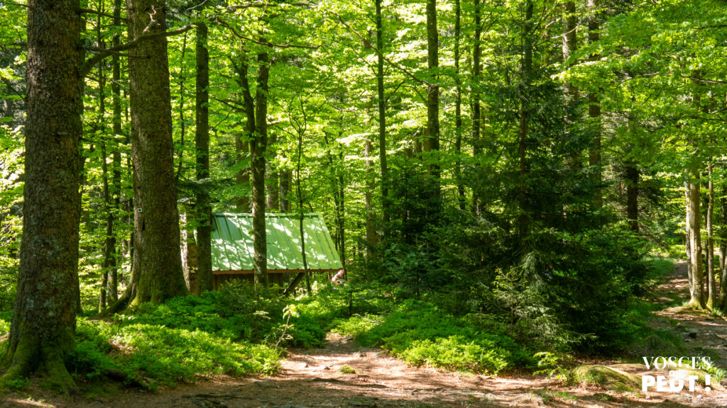 Abri du col de l'étang dans le massif des Vosges