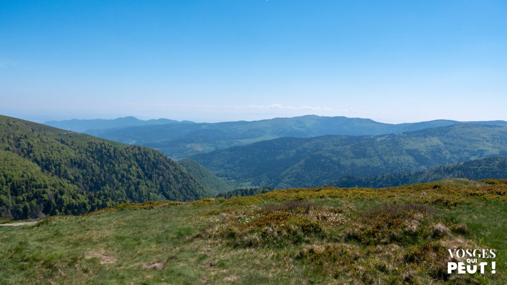 Vue sur les crêtes du massif des Vosges depuis la chaume du Rainkopf