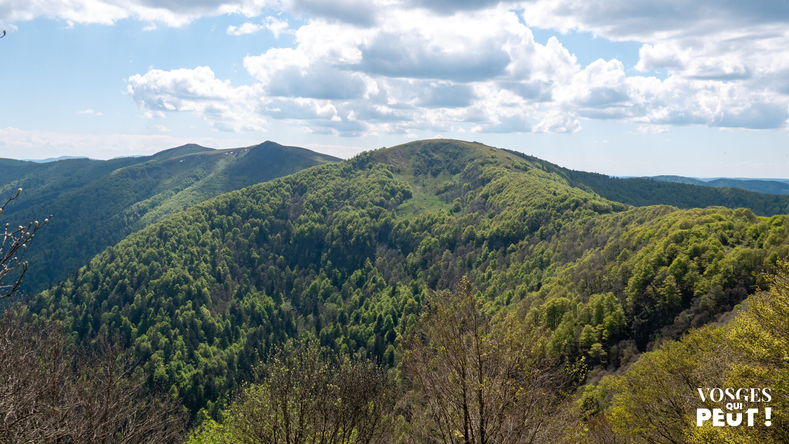 Vue sur les crêtes du massif des Vosges