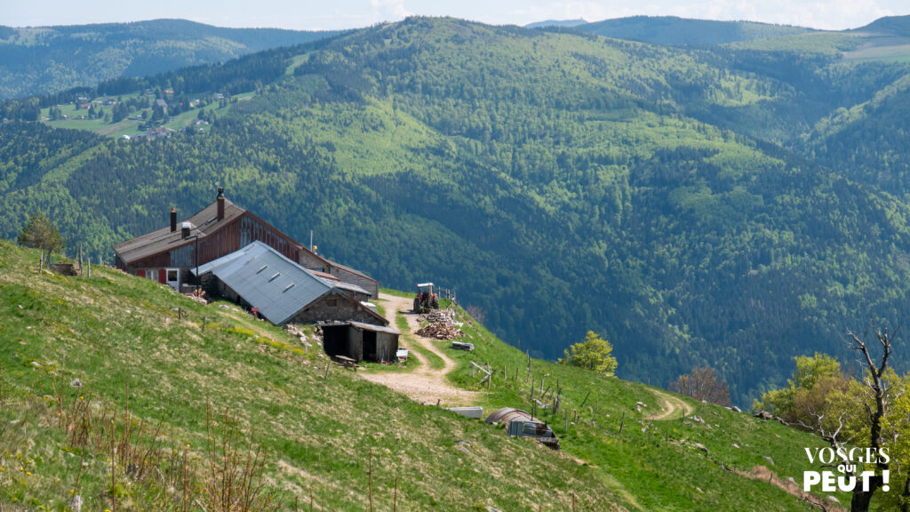 Ferme-auberge du Kastelberwasen dans le massif des Vosges