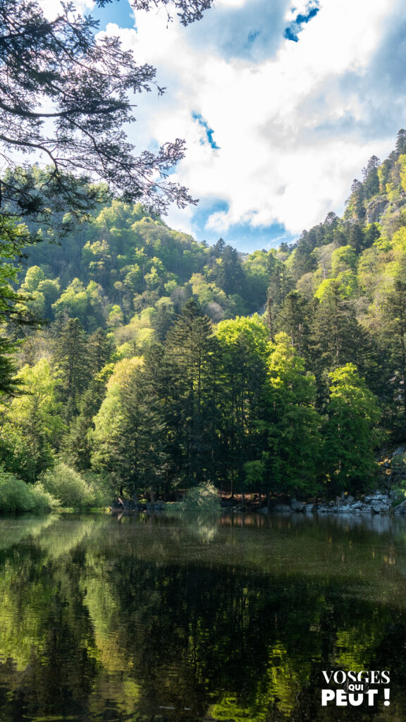 Le lac du Fischboedle dans le massif des Vosges