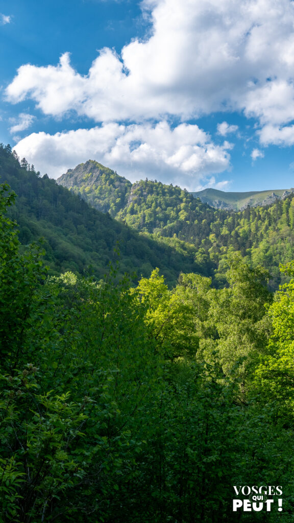 La vallée de la Wormsa dans le massif des Vosges