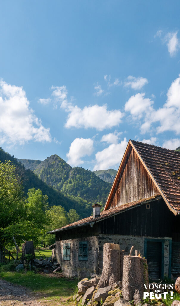 La vallée de la Wormsa dans le massif des Vosges